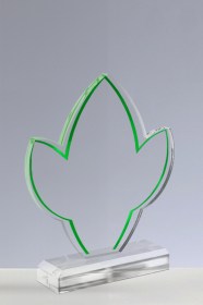 Trofee din Acril PSW 407